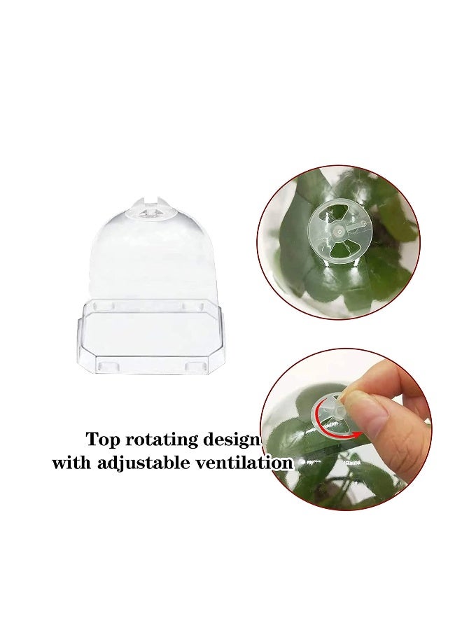 10 قطع أواني صغيرة لزراعة النباتات مع قبة الرطوبة - وعاء زراعة بلاستيكي - حاوية للبذور مع فتحات تصريف للبذور / الخضروات / العصاريات / القصاصات - Image 4