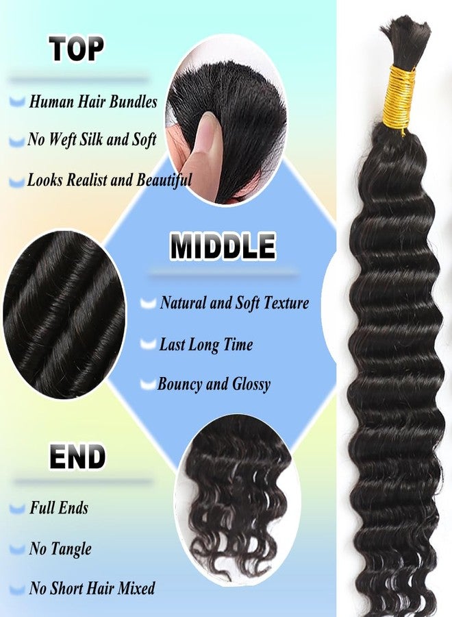 Y WIGS YWIGS Boho Human Hair for Braiding Human Deep Wave Braiding Hair 100G No Weft Virgin Human Braiding Hair Bundles NC 20inch - Image 3