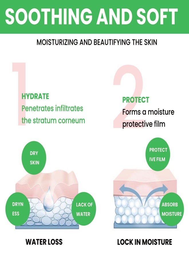 إيلهو EELHOE خلاصة الصبار المرطبة والتفتيح، ترطيب الوجه، تقليل التجاعيد، جوهر الترطيب والتجديد - 30 مل - Image 5