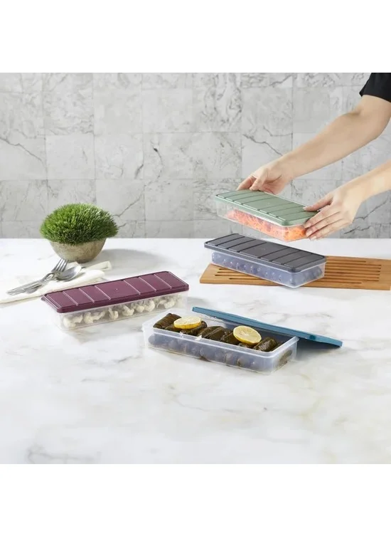 Bizimevde Mini Storage Box 2-Piece Storage Box (1.2 Lt)