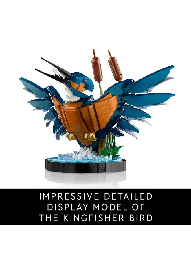 LEGO 10331 Icons Kingfisher Bird Model, Gift For Birders And Lovers Of Ornithology, Creative Building Set For Adults, Home And Office Desk Decor, A Mindful Project (834 Pieces)