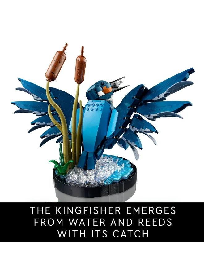 LEGO 10331 Icons Kingfisher Bird Model, Gift For Birders And Lovers Of Ornithology, Creative Building Set For Adults, Home And Office Desk Decor, A Mindful Project (834 Pieces)