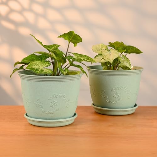 Eha Earth-Friendly 8" Leafy Planters with Tray | Set of 2 | Bamboo Fiber | UV Protected | Drainage Hole | Pots for Indoor, Outdoor, Balcony & Garden | Celeste - Image 1