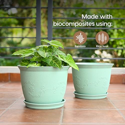 Eha Earth-Friendly 8" Leafy Planters with Tray | Set of 2 | Bamboo Fiber | UV Protected | Drainage Hole | Pots for Indoor, Outdoor, Balcony & Garden | Celeste - Image 3