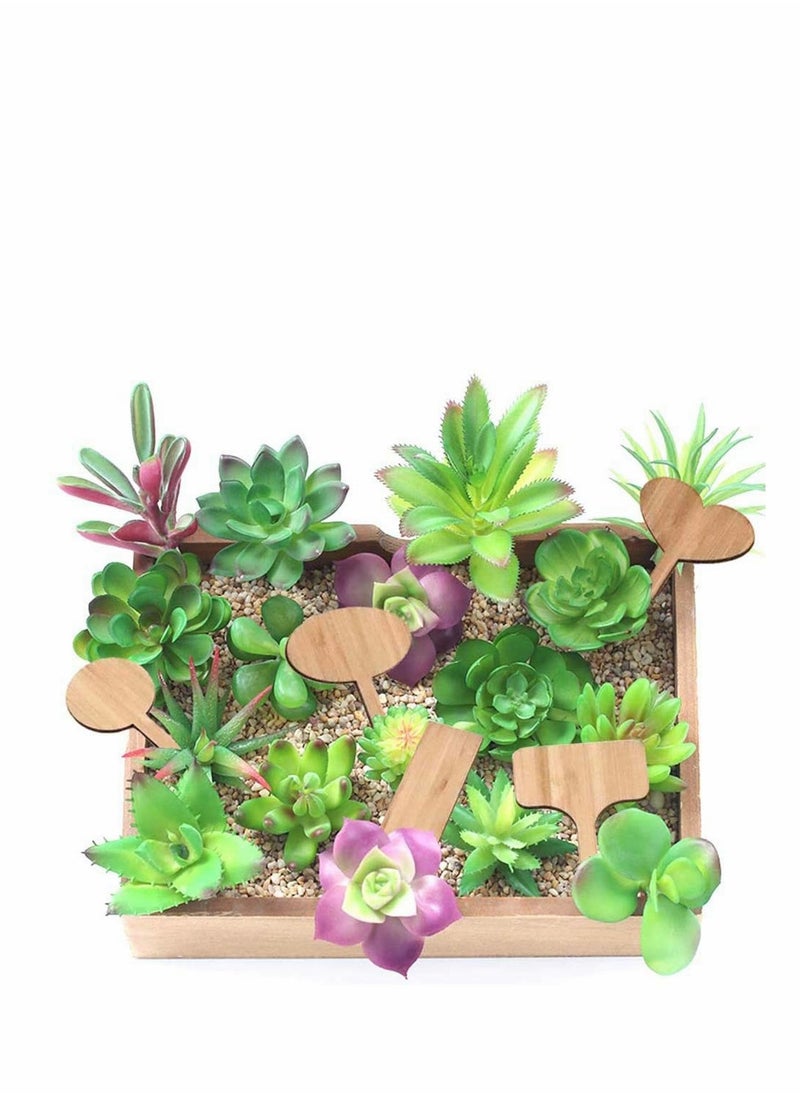 Plant Label Set 50PCS Wooden Bamboo Labels 3pcs Garden Kit Tools for Herb Outdoor Indoor Seed Potted Herbs Flowers Vegetables