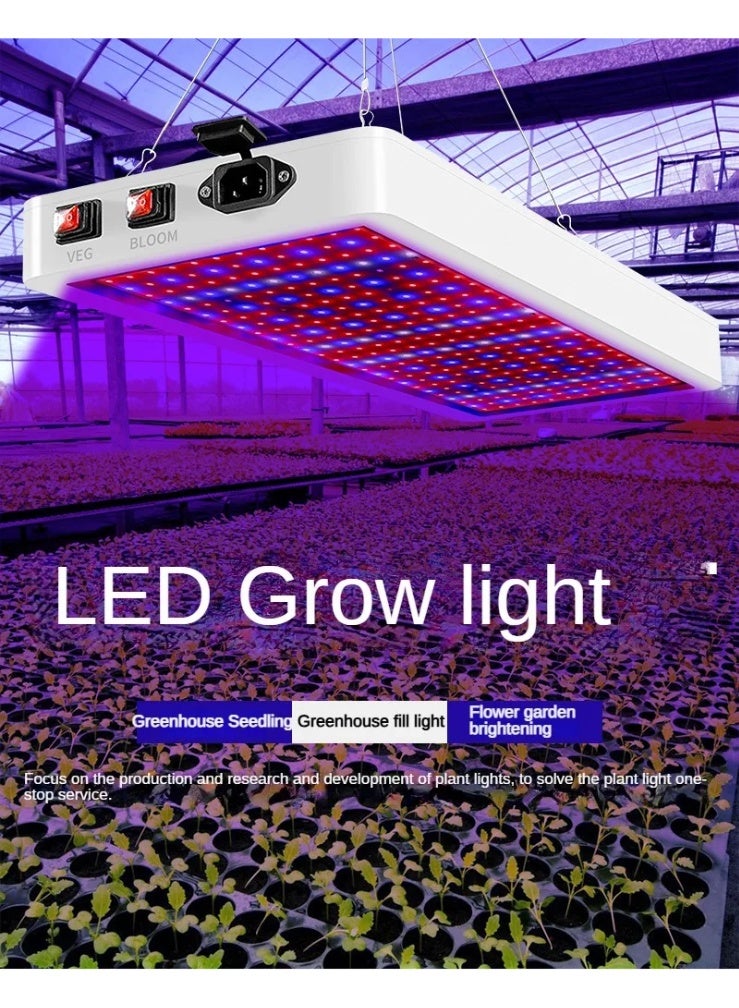 مصباح LED لنمو النباتات بطيف كامل، إضاءة بستانية مناسب للبيوت الزجاجية، خيام النمو، أنظمة الزراعة المائية، تكاثر الشتلات ومراحل الإثمار - 315*200 مم - Image 2