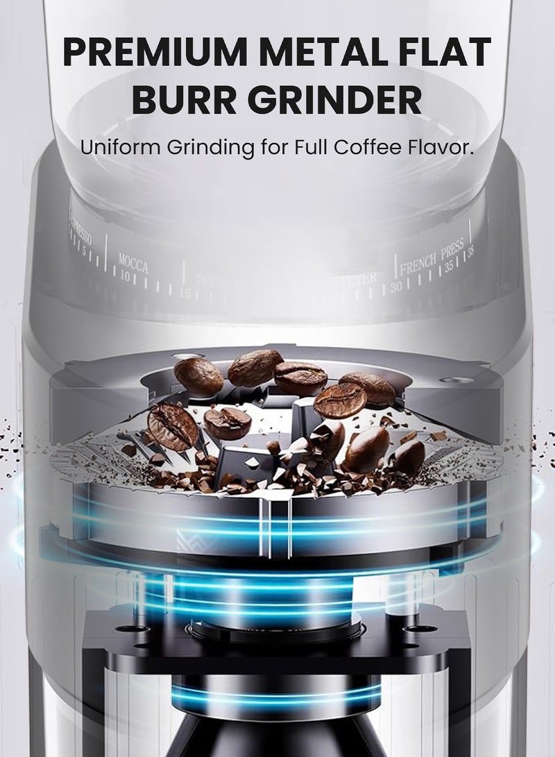 رويال مطحنة القهوة Royal ذات التروس المخروطية (Conical Burr) بقوة 200 واط | 38 مستوى للطحن، تروس فولاذية بقطر 40 مم، محرك منخفض السرعة، مؤقت مدمج (لتحضير 1-10 أكواب) وسعة 160 جم ​​لحبوب القهوة | مناسبة للإسبريسو، والتقطير (Pour Over)، والكبس الفرنسي (French Press)، والتحضير البارد (Cold Brew) | RA-CGP1816 200 W RA-CGP1816 - Image 4