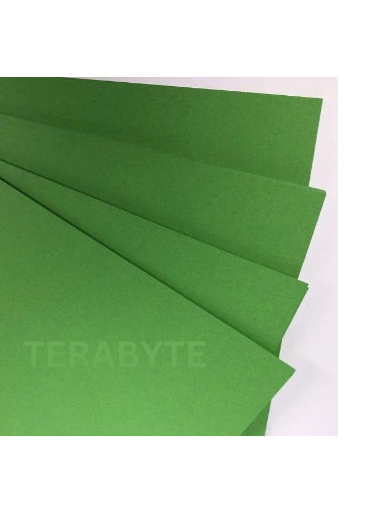 Terabyte Green Paper A4 Thick 270GSM Green Card Stock, Tag, Drawing, Craft Making Paper, School and office use - Image 1