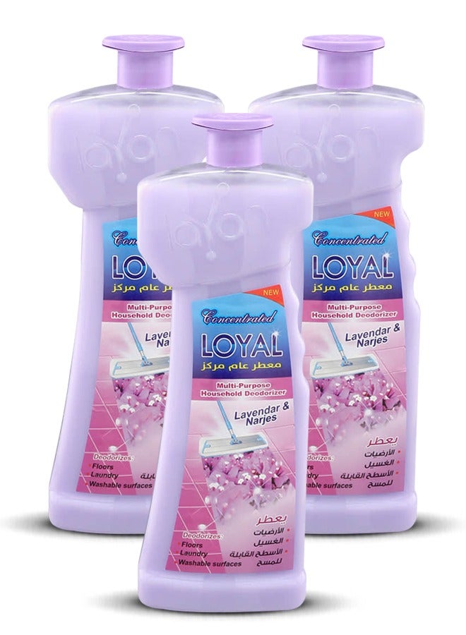 loyal Multi-Purpose Household Deodorizer Concentrated Gel Lavender Narjes 3x700ml - Image 1