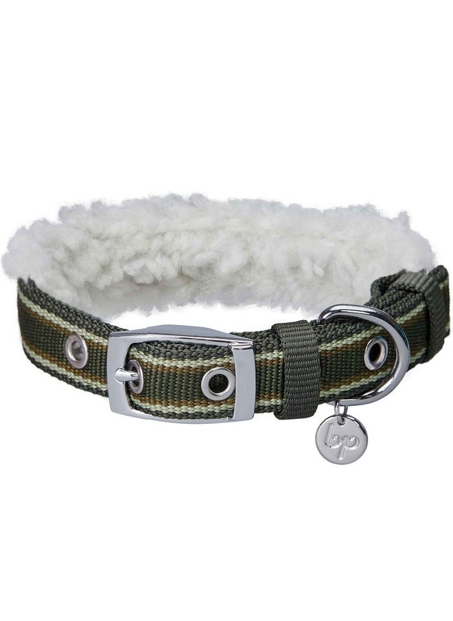 Blueberry Pet Soft & Comfy Multi-Colored Stripe Fleece Padded Adjustable Dog Collar with Metal Buckle - Olive Green, Neck 9-12.5", for Small Breed - pzsku/ZE1B2440C26A96E4DEB12Z/45/_/1737032082/eb9ffa54-24e2-4356-8ea3-c79614403a9a