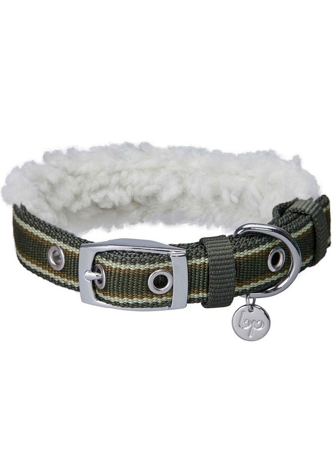 Blueberry Pet Blueberry Pet Soft & Comfy Multi-Colored Stripe Fleece Padded Adjustable Dog Collar with Metal Buckle - Olive Green, Neck 9-12.5", for Small Breed  - Image 1