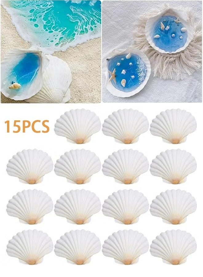 15 pcs Natural Scallop Shells 2-3 inch White Sea Shells from Sea Beach for DIY Craft Home - Image 1
