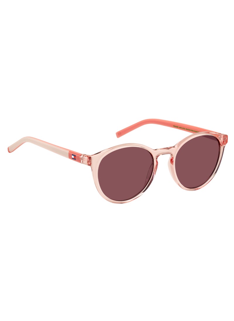 TOMMY HILFIGER TOMMY HILFIGER PANTHOS Sunglasses  - Image 2