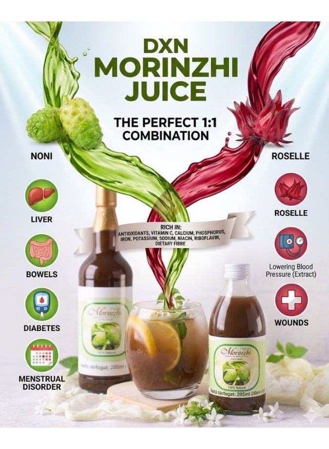 DXN Morinzhi Juice Botanical Beverage 285ml – Natural Herbal Wellness Drink with Noni Extract - Image 3