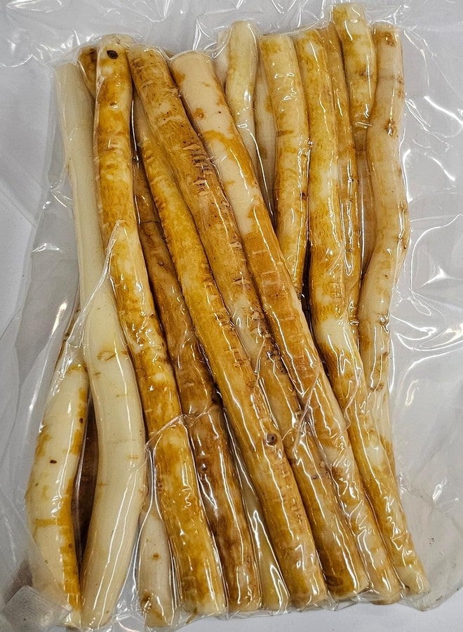 Miswak stick Tooth brush/Datun/Natural Wooden Miswak Stick for White & HealthyTeeth/Chewing Stick Natural Flavored Organic Herbal Teeth Cleaning Vacuum Sealed Whitening Breath Freshener/Pack of 20 - Image 2