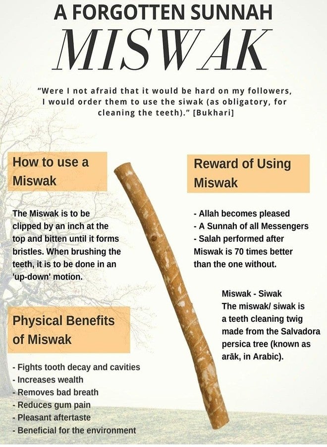 Miswak stick Tooth brush/Datun/Natural Wooden Miswak Stick for White & HealthyTeeth/Chewing Stick Natural Flavored Organic Herbal Teeth Cleaning Vacuum Sealed Whitening Breath Freshener/Pack of 20 - Image 4
