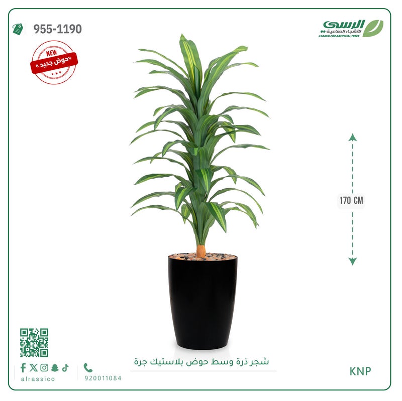 Alrassi Large Artificial Dracaena in Cylindrical Plastic Pot 170 cm - Image 2