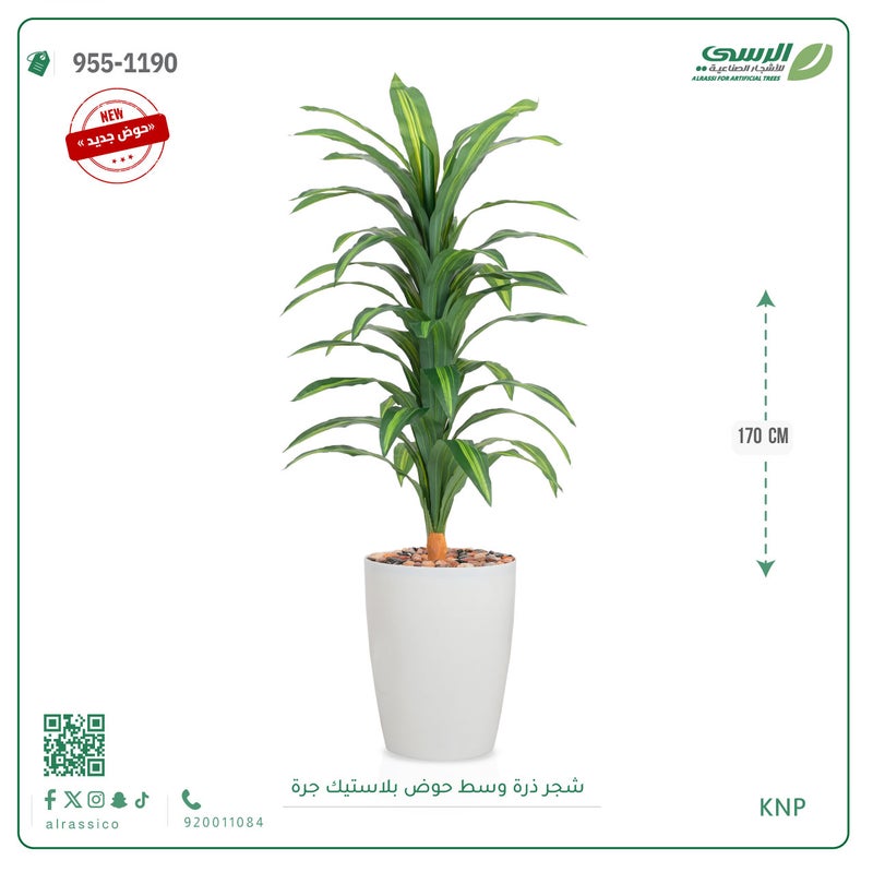 Alrassi Large Artificial Dracaena in Cylindrical Plastic Pot 170 cm - Image 1