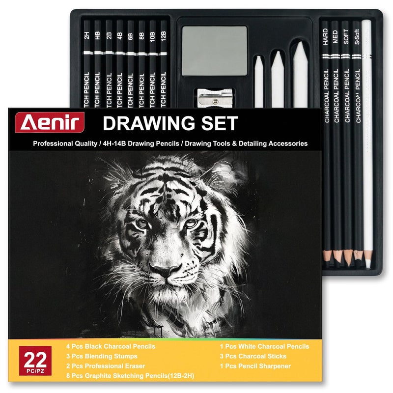 Aenir Charcoal Pencils for Drawing Set of 22 Professional Drawing Sketch Pencils Charcoal Art Supplies for Sketching Shading Artist Charcoal Supplies for Beginners Pro Artists