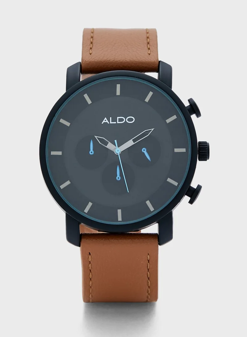 ALDO Yberalian Watch