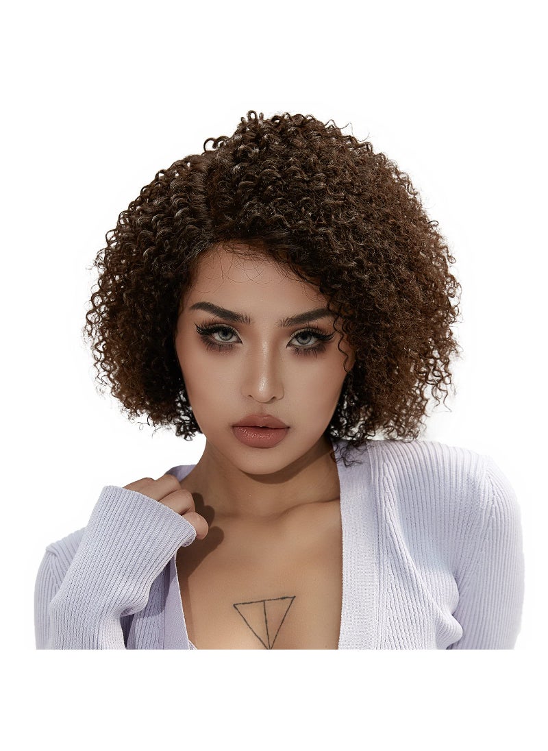 QUEEN VIRGIN REMY - Short Curly Human Hair Lace Front Wigs for Black Women 13x5 HD Lace Side Part Wigs Pre Plucked Brazilian Virgin Human Hair Wigs with Baby Hair 150% Density Ombre Highlight Brown (12 inch) - Image 1