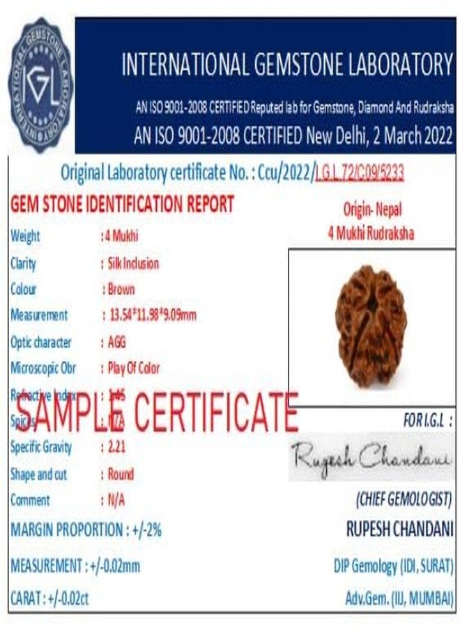 Char Mukhi Rudraksha أصلي معتمد من Real Rudraksha 4 Mukhi نيبال Four Face Rudraksha Amazing 4 मुकी रुत्राक्ष حجم صغير 4 وجه Rudraksha مع قلادة أو Laal Dori للرجال والنساء من IRIS GEMS - Image 4
