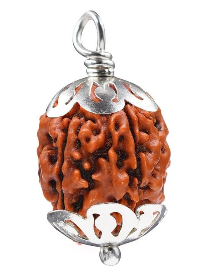 Char Mukhi Rudraksha أصلي معتمد من Real Rudraksha 4 Mukhi نيبال Four Face Rudraksha Amazing 4 मुकी रुत्राक्ष حجم صغير 4 وجه Rudraksha مع قلادة أو Laal Dori للرجال والنساء من IRIS GEMS - Image 2