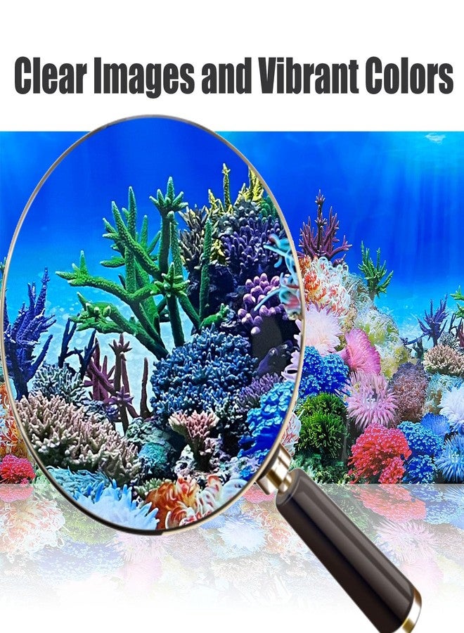 XCNO Fish Backgrounds Paper Double Sides Undersea Aquarium Background Poster Colorful Sea Anemone Fish Tank Background Sticker Decorations 16"x 33" - Image 3