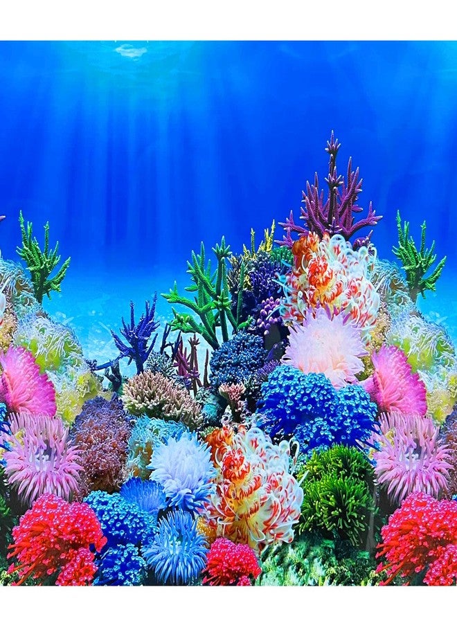 XCNO Fish Backgrounds Paper Double Sides Undersea Aquarium Background Poster Colorful Sea Anemone Fish Tank Background Sticker Decorations 16"x 33" - Image 1