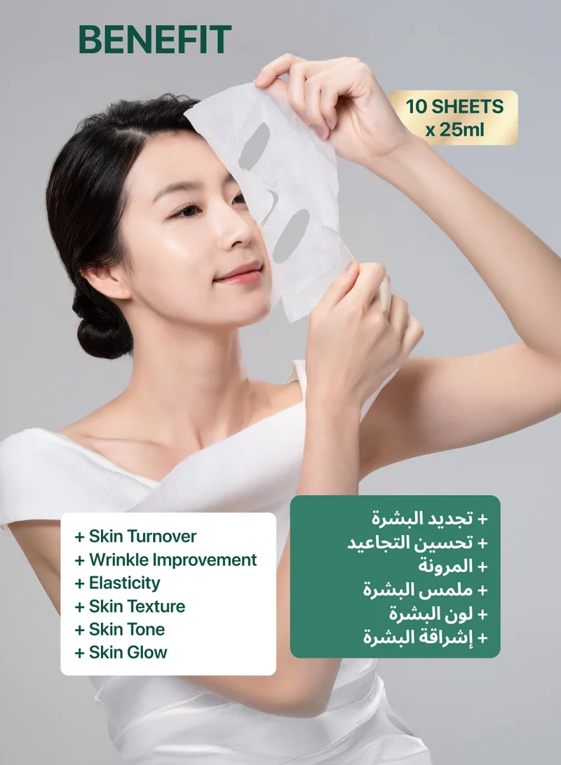 Terrazen PDRN Total Renew 10 Pcs Korean Face Sheet Mask with Retinol 25 ml - Natural Beauty Skincare For All Skin Types - Firming Mask for Women & Men