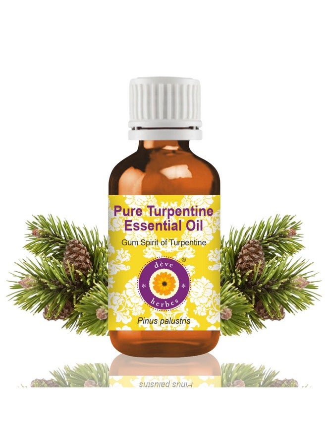 Deve Herbes Turpentine Essential Oil (Pinus palustris)-Gum Spirit of Turpentine Pure | Non-Sticky | Non-greasy | Lightweight | Men & Women | All Skin Types | Steam Distilled 100ml - Image 1