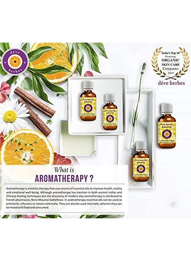 Deve Herbes Turpentine Essential Oil (Pinus palustris)-Gum Spirit of Turpentine Pure | Non-Sticky | Non-greasy | Lightweight | Men & Women | All Skin Types | Steam Distilled 100ml - Image 2