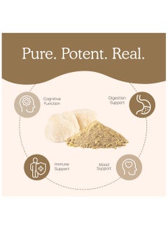 Real Mushrooms Organic Lions Mane Cognition Extract 120 Capsules  - Image 2