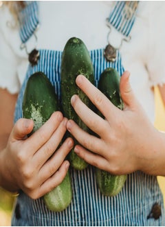 GGOOT Boston Pickling Cucumber - 25 Seeds - Heirloom & Open-Pollinated Variety, Non-GMO Vegetable Seeds for Planting Indoors or Outdoors in The Home Garden, Thresh Seed Company  - Image 1