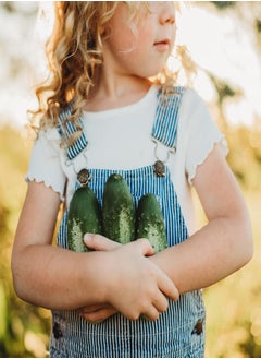 GGOOT Boston Pickling Cucumber - 25 Seeds - Heirloom & Open-Pollinated Variety, Non-GMO Vegetable Seeds for Planting Indoors or Outdoors in The Home Garden, Thresh Seed Company  - Image 2