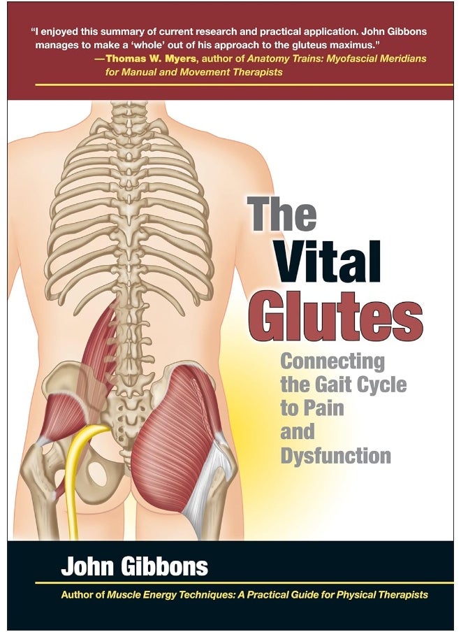 null - The Vital Glutes: Connecting the Gait Cycle to Pain and Dysfunction - Image 1