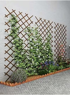 HOME TASTE Hometaste Expendable Wooden Garden Fence Wooden Fence Portable For Garden Wooden Wicker Fence For Home Wall Hanging Wooden Fence For Wall Wooden Plant Trellis Frame Wooden Fence (75X21Cm, White) 