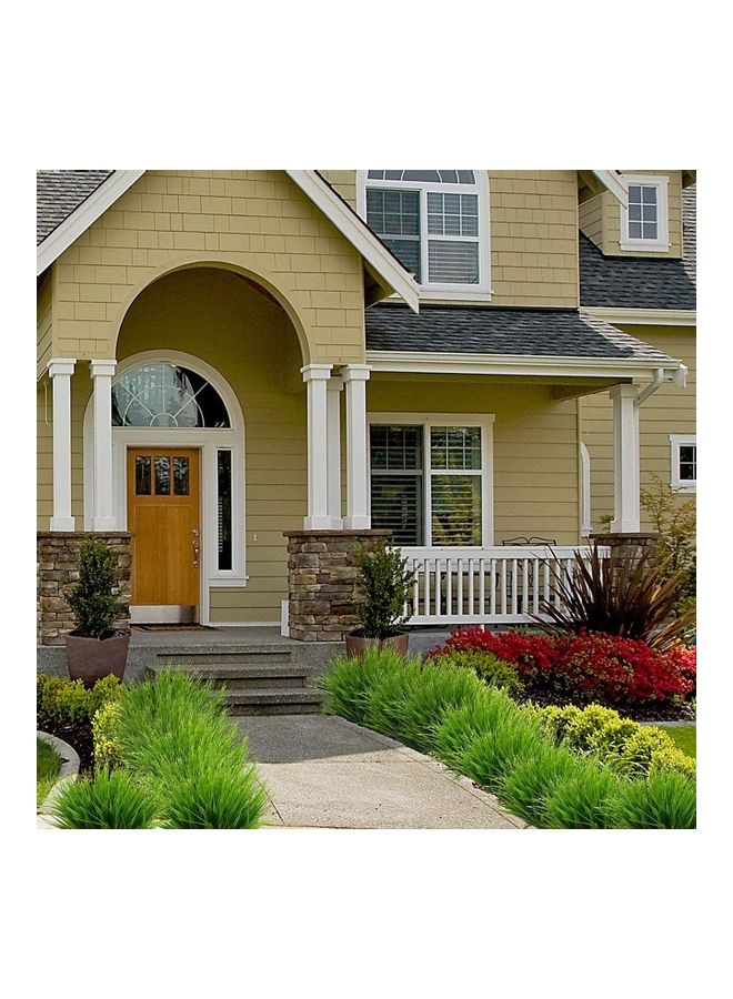 إسكدنيا مجموعة نباتات صناعية للمحاكاة بتصميم شجيرات عشب القمح مصنوعة من البلاستيك ومكونة من 6 قطع ومناسبة للأماكن الداخلية والخارجية أخضر 14.37 x 6.50 x 0.79بوصة - Image 4