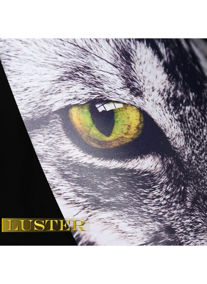 A-SUB Premium Double Sided Photo Paper Luster 8.5 X 11 Inch 74Lb For Inkjet Printers 40 Sheets  - Image 2