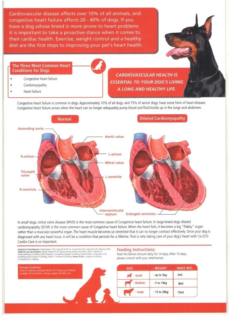 Mervue Mervue Cardio Care Paste for Dogs –  Supporting Cardiac Health in Dogs 30 ml  - Image 3