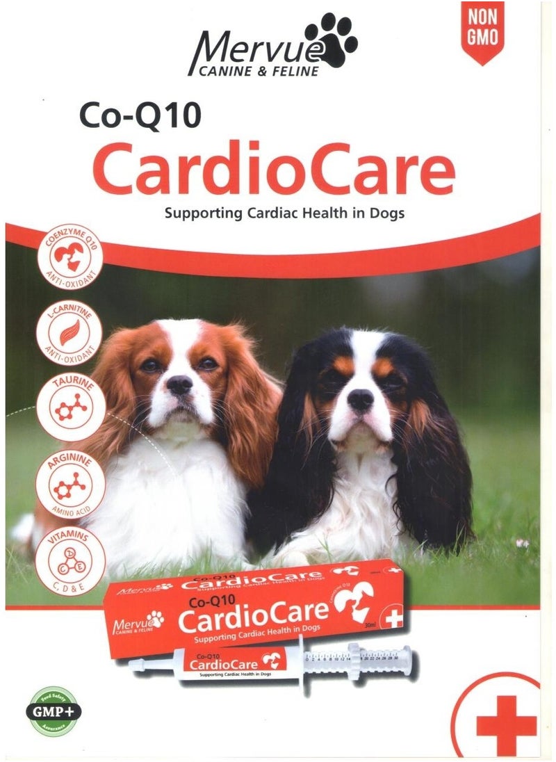 Mervue Mervue Cardio Care Paste for Dogs –  Supporting Cardiac Health in Dogs 30 ml  - Image 2