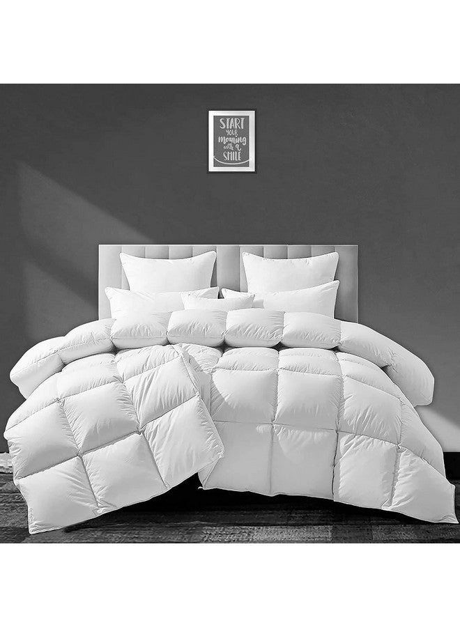 Filbert - All Season 250 GSM Comforter Super Soft Fluffy Comforter (92" x 106" Inches/233cm x 269cm) - King Size Comforter|White - Image 1