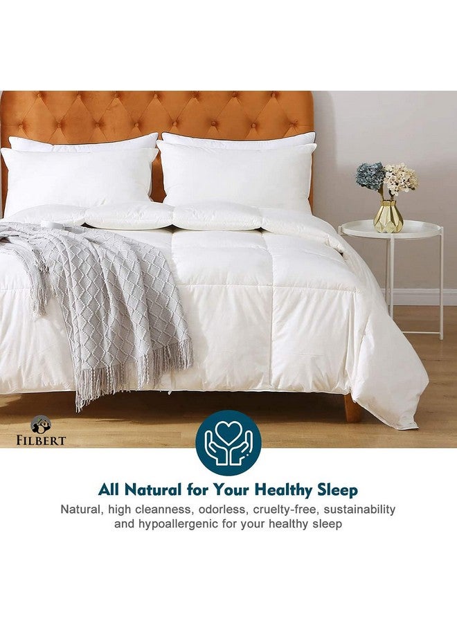Filbert - All Season 250 GSM Comforter Super Soft Fluffy Comforter (92" x 106" Inches/233cm x 269cm) - King Size Comforter|White - Image 3