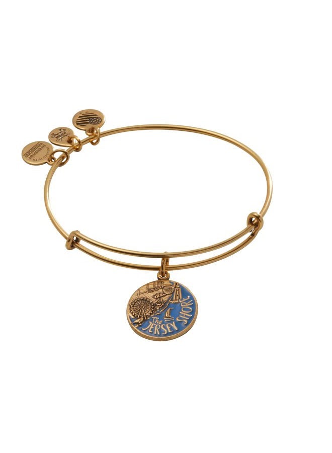 ALEX AND ANI A18EBJSRG,Jersey Shore Expandable Bangle Bracelet,Rafaelian Gold,Gold/Blue, Bracelet - Image 1