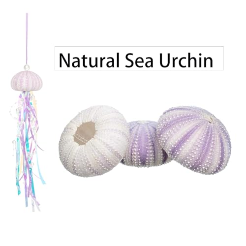 JQAQJU 4 PCS Jellyfish Decor for Mermaid Theme Party Under The Sea Party DecorationsHnadmade Natural Sea Urchin Crafts for Birthday Gift Coastal Christmas Tree Beach Home Decor - Image 3