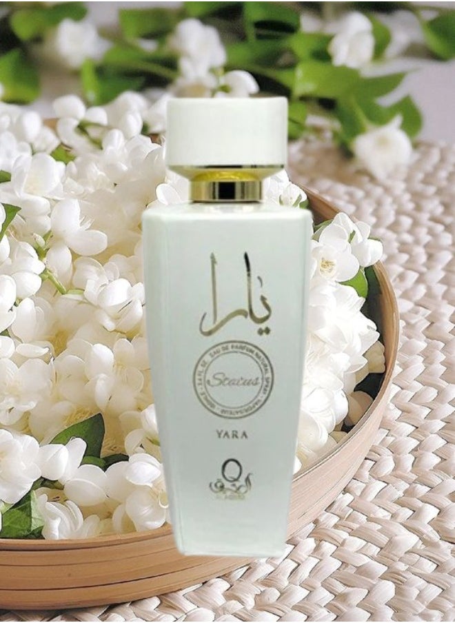 Yara - 8 Pieces Yara Status Perfume 100ML - Image 1