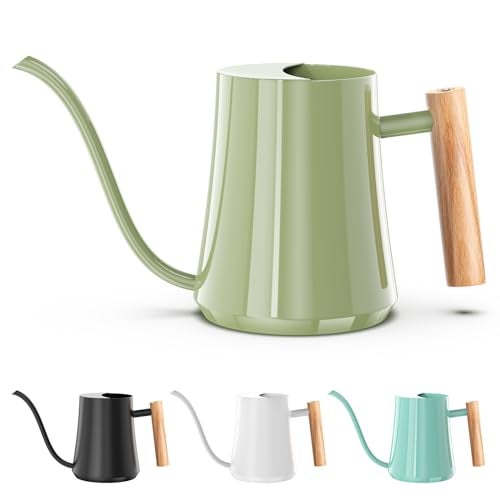 Green Moon Watering Can Indoor Plants 35oz Sage Green Water Can Indoor Metal Small Water Can Pot with Long Spout for House Bonsai Plants Garden Flower Decorative - Image 1