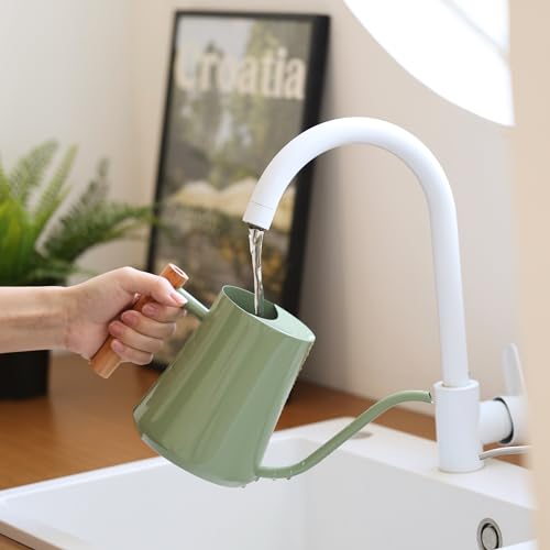 Green Moon Watering Can Indoor Plants 35oz Sage Green Water Can Indoor Metal Small Water Can Pot with Long Spout for House Bonsai Plants Garden Flower Decorative - Image 4