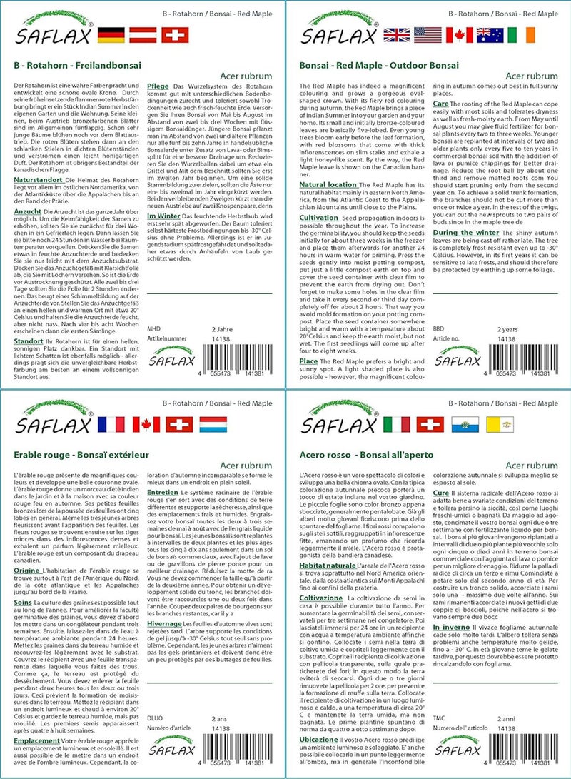 GGOOT Gift Set - Bonsai - Red Maple - 20 Seeds - Acer rubrum - Image 3