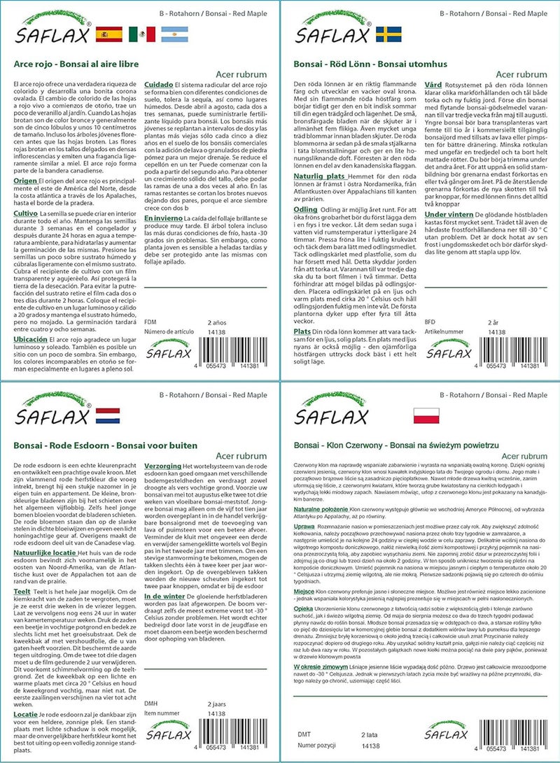 GGOOT Gift Set - Bonsai - Red Maple - 20 Seeds - Acer rubrum - Image 4